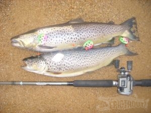 Flashers How to… – Epic Trout